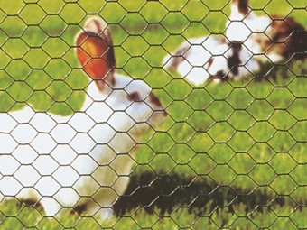 breeding mesh - rabbits